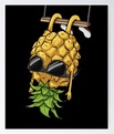 Avatar de l’utilisateur